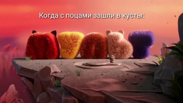 муд заставки мульт 2014-2019, 2019-2021