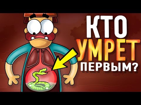 Что Если Проглотить Самую Ядовитую Змею