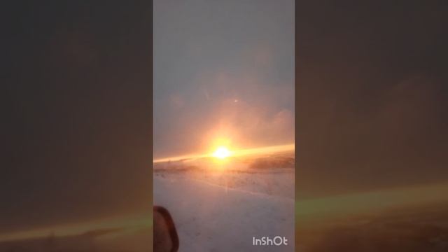 красота