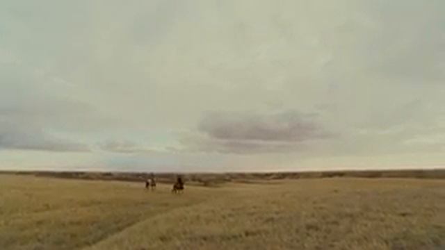 Одна неделя 2008