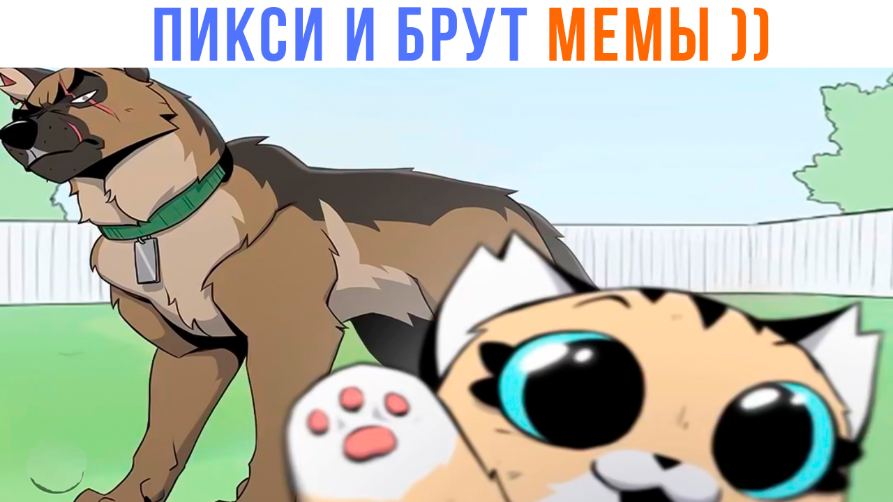 ПИКСИ И БРУТ МЕМЫ ))) | Приколы | Мемозг 1384