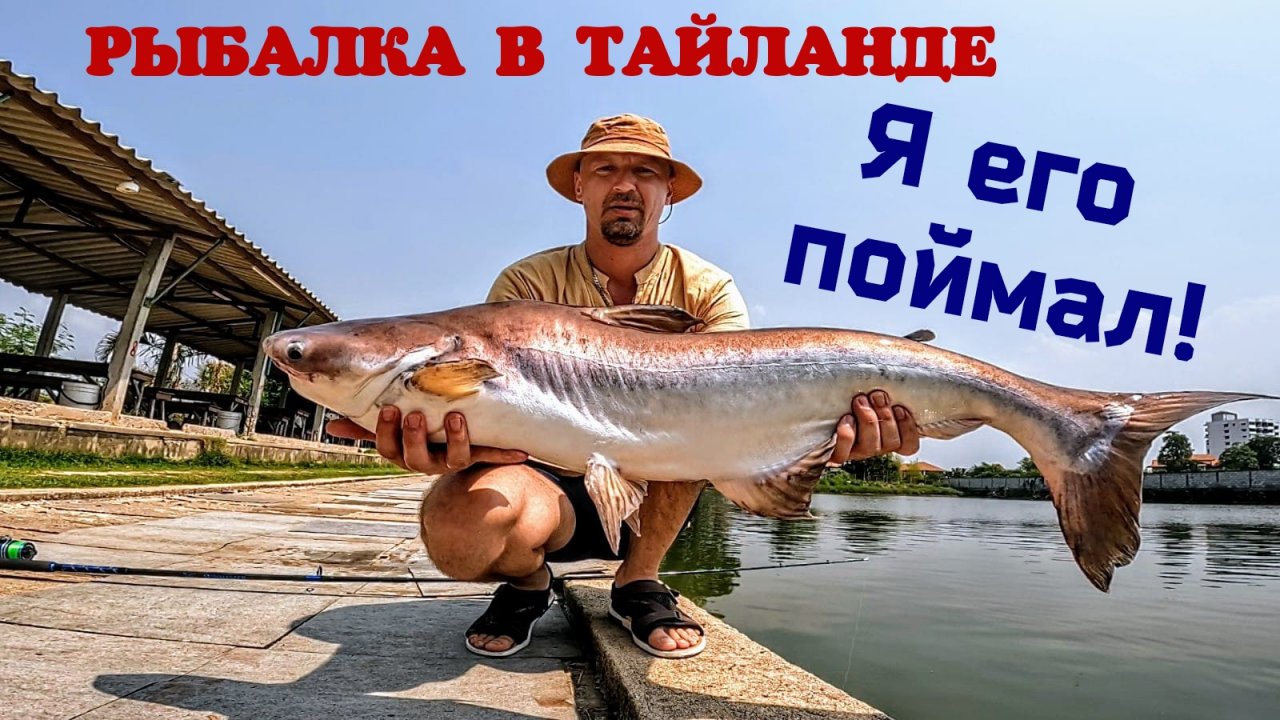 Тонны рыбы в нано луже! Эти рыбины ломают все снасти ЁКЛМН! Рыбалка на сома. Рыбалка 2024.