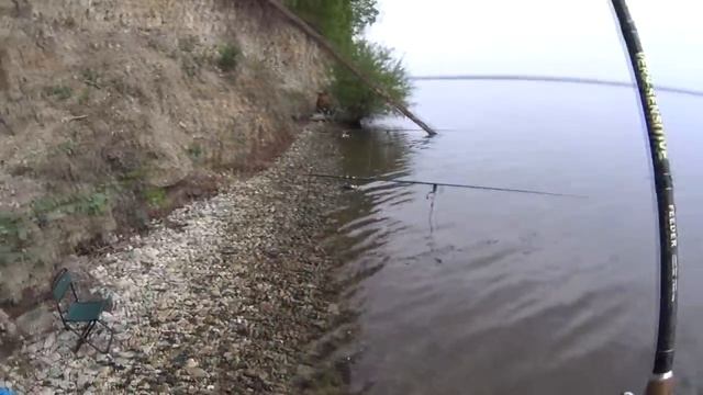 Ловля сома с берега на донки...