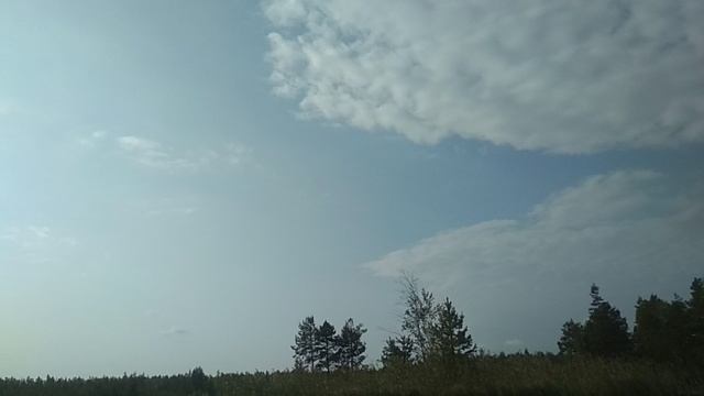 охота и рыбалка
