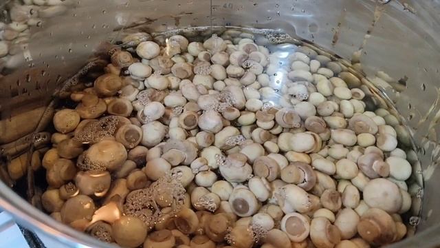 Маринованные шампиньоны на зиму . Очень легко и просто !!!