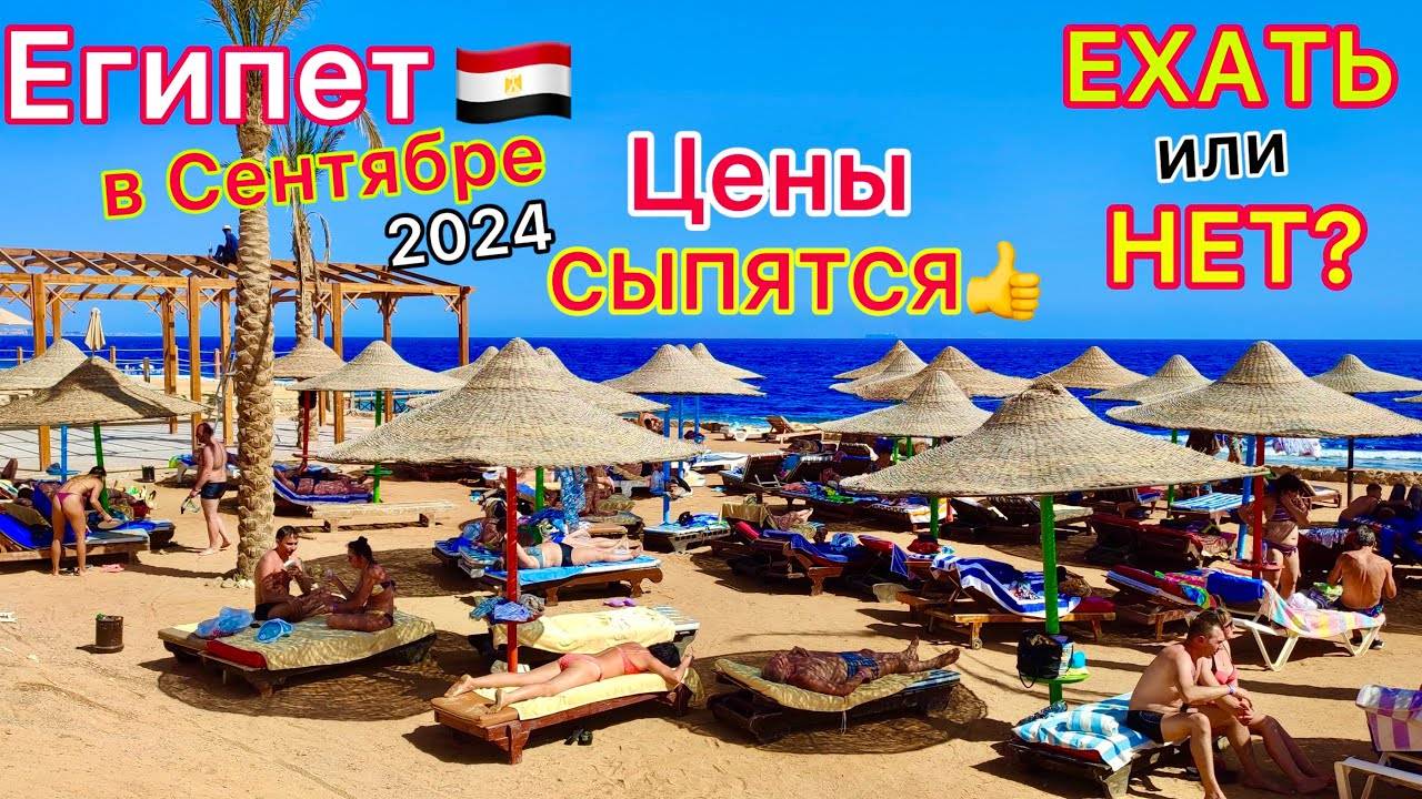 Египет в СЕНТЯБРЕ Туры ДЕШЕВЕЮТ? ЛЕТЕТЬ или НЕТ на отдых? ПОГОДА, ветер, МАНГО, море. ПОЛНЫЙ разбор