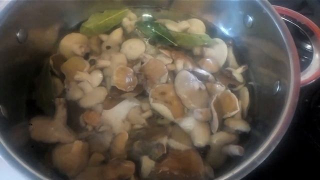 Маринованные Маслята! Вкусный лёгкий рецепт!