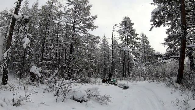 снегоход стелс викинг 800 снова в деле
