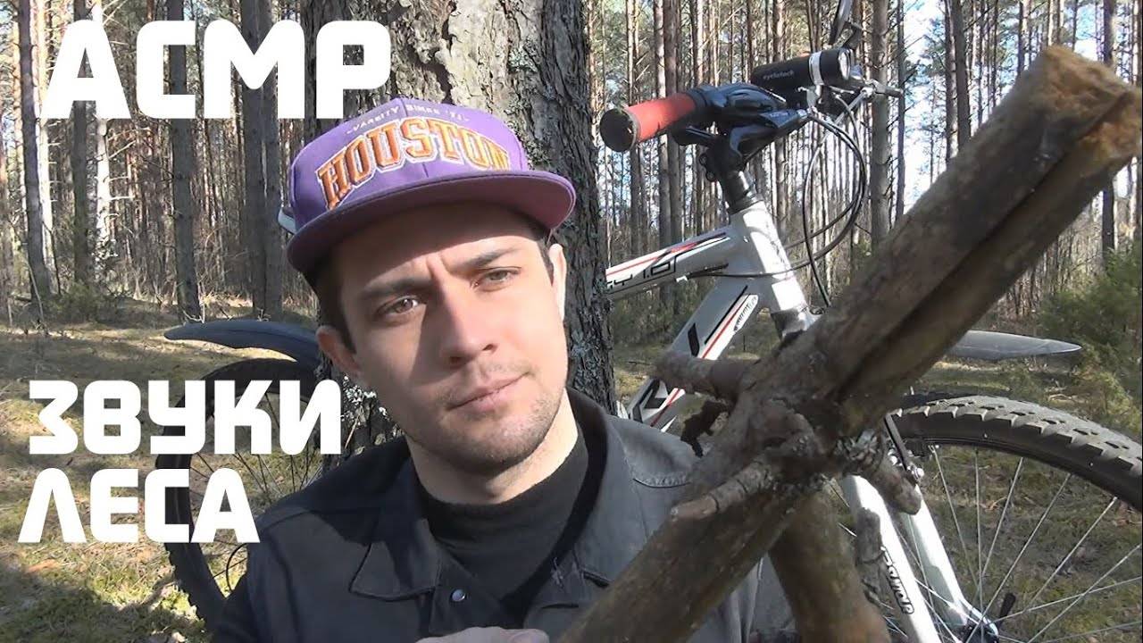 АСМР Триггеры Из Леса