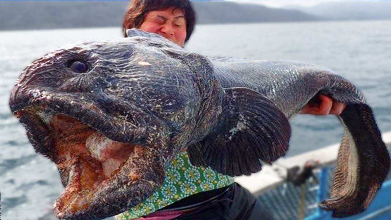 Пугающие Морские Монстры, Которые Реально Существуют