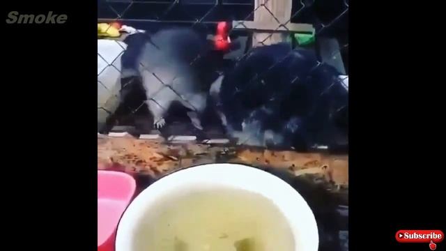 Охота и рыбалка .Приколы на охоте и рыбалке
