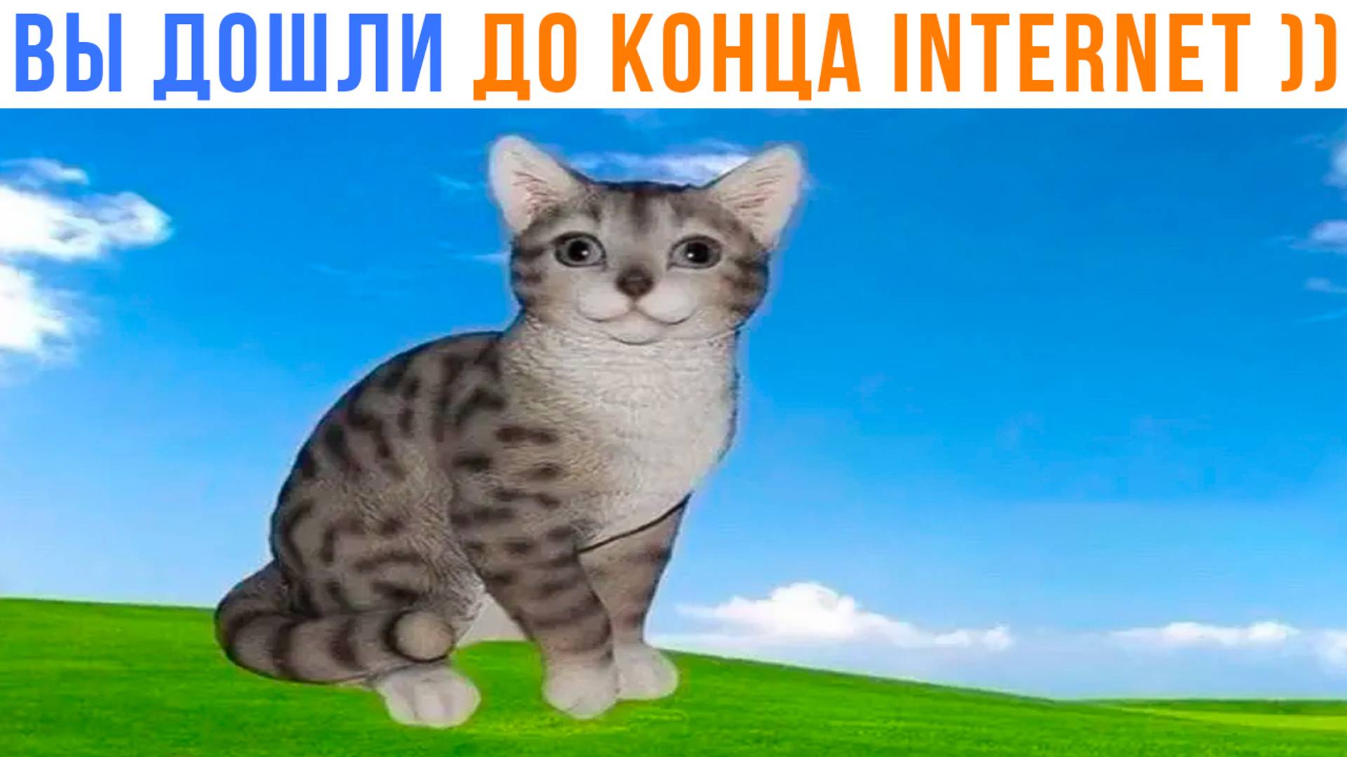 Вы дошли до конца internet ))) Приколы | Мемозг 1479