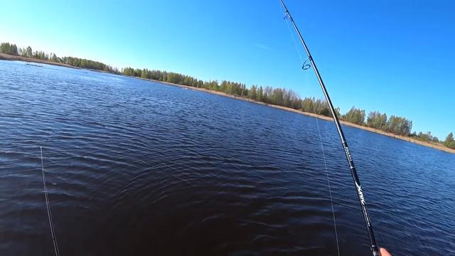 ТРОФЕЙНАЯ ЩУКА. ЛОВЛЯ КРУПНОЙ ЩУКИ НА БЛЕСНУ. БЛЕСНА НА ЩУКУ. РЫБАЛКА