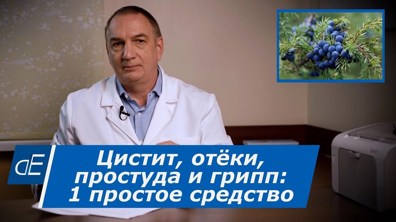 Цистит, Отёки, вирусы, Простуда и Грипп - 1 простое и полезное средство: Плоды Можжевельника.