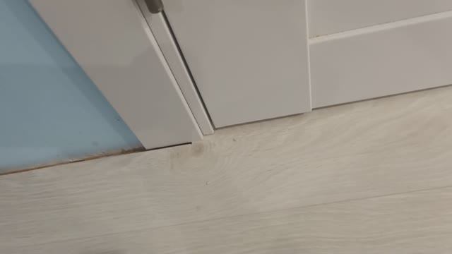 Щель между ламинатом и наличником двери. Чем закрыть?