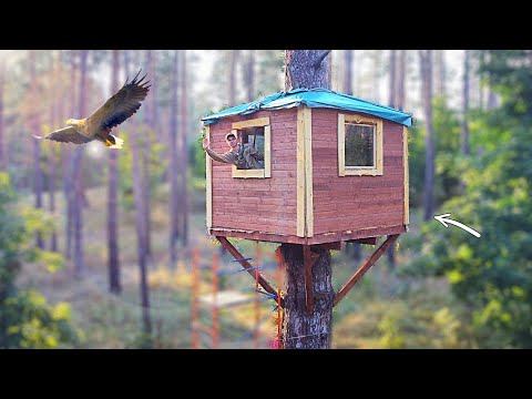 ЛУЧШИЙ ДОМИК НА ДЕРЕВЕ! | Часть 2
