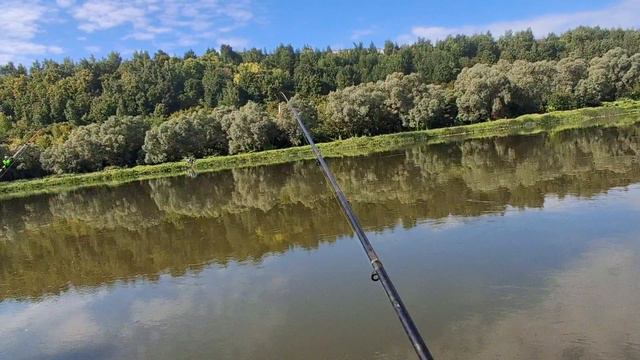 РЫБАЛКА НА ДОНУ. ЗАБЫТАЯ НАМИ НАЖИВКА.
