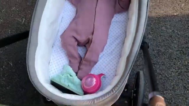 НОВАЯ КОЛЯСКА? ? первая прогулка ? прогулка с реборном ? day with reborn ?