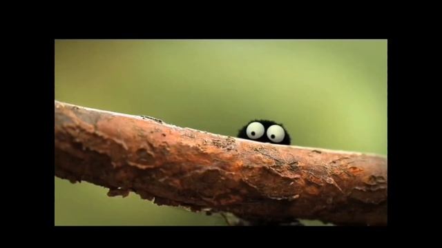 Муха и Паук/ Ржач до слез/ Fly and Spider
