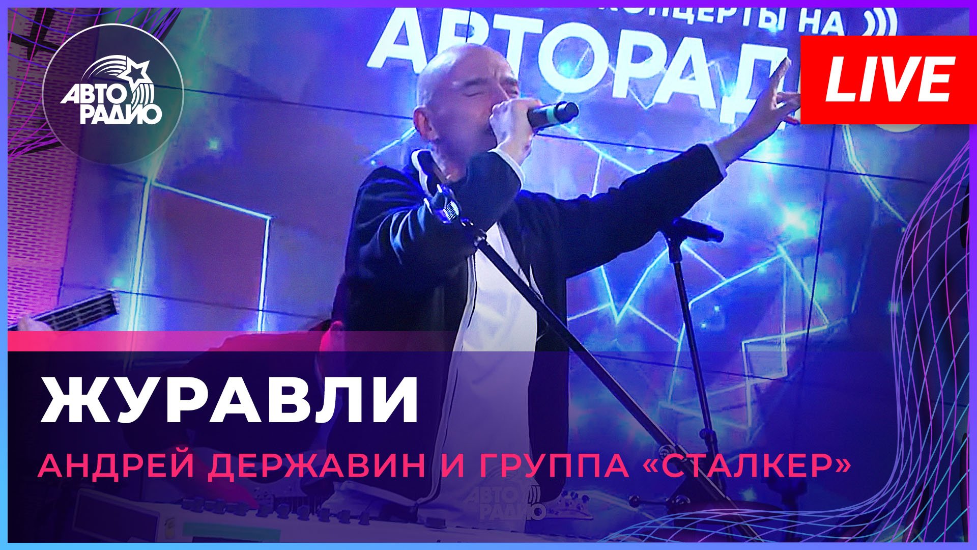 Андрей Державин - Журавли