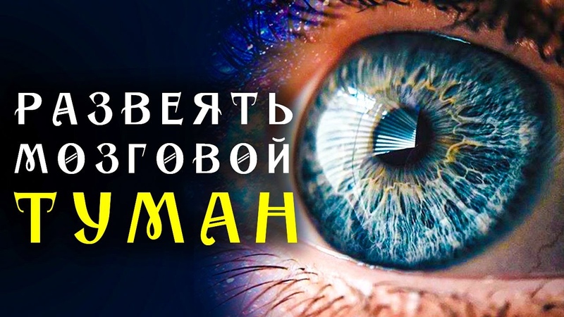 Пробуждение разума 🌀 Адаптированная программа матрица по технологии Гаряева ☀️ SoftRadio.ru