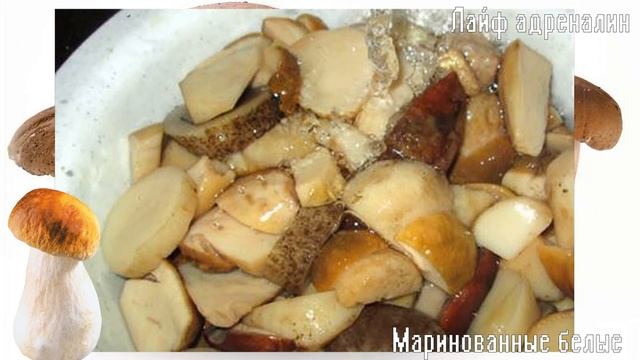 Простой и вкусный рецепт маринования белых грибов! Как замариновать белые грибы на зиму?