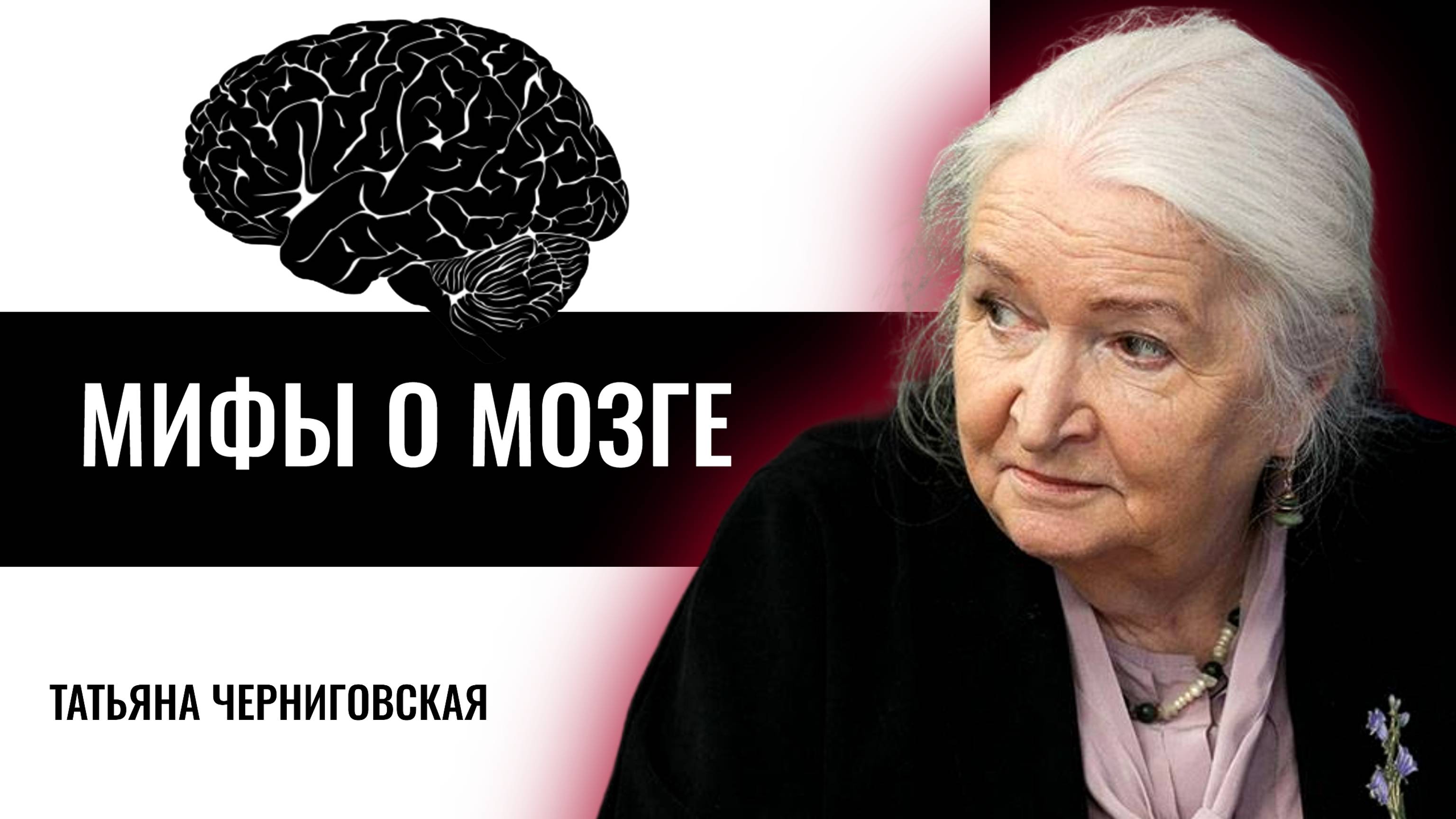 Мифы о мозге. Татьяна Черниговская