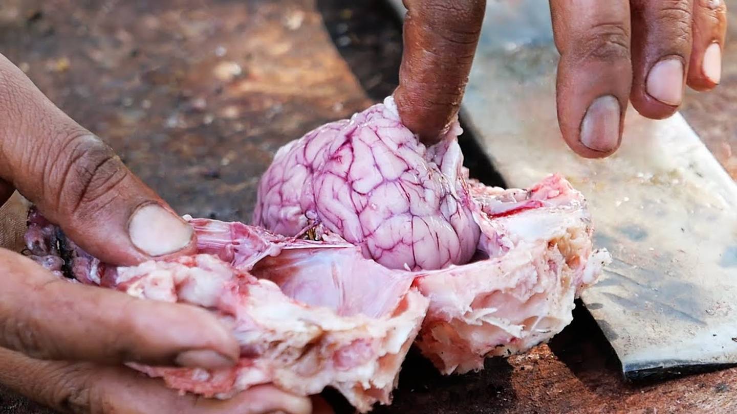 Ужасная и отпугивающая кухня мира. Индийская еда - Козьи Мозги Карри. Раджастхан, Индия