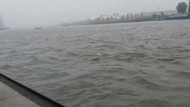 Hamburg Port.