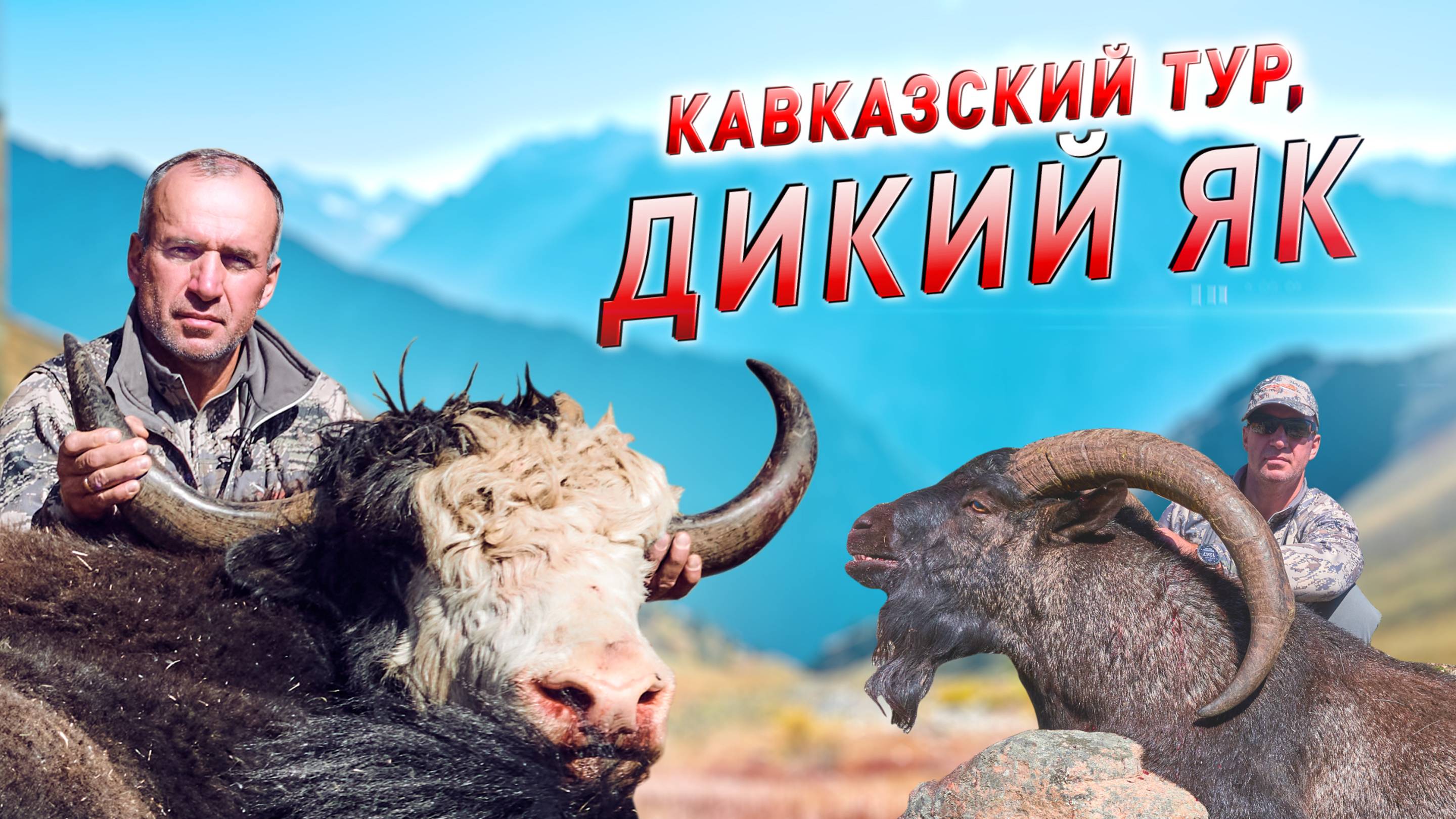 Трофейная охота в Карачаево-Черкесии. Кавказский тур, Дикий як