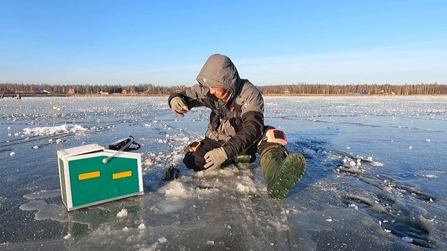 Плотва на мормышку на зимней рыбалке по первому льду 2021