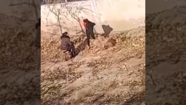 и гузарондан ку