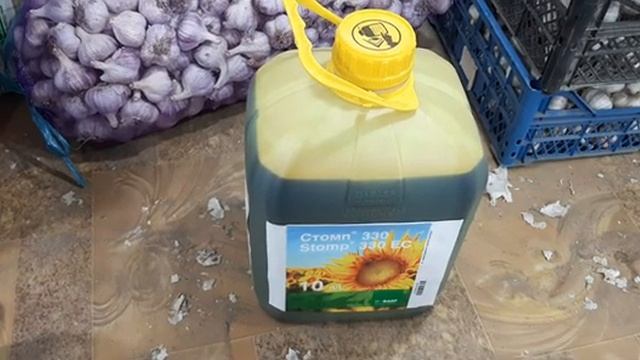 Готовимся к новому сезону выращивания чеснока. Посадочный материал, протравитель и борьба сорняками