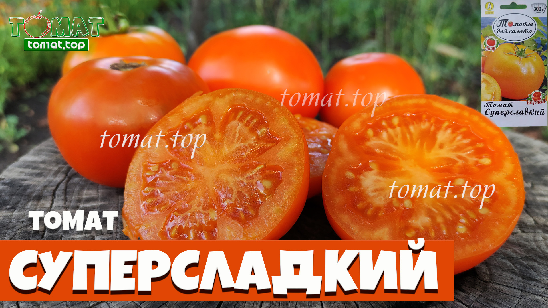 Томат Суперсладкий. Кто же не любит суперсладкие оранжевые помидоры? Сорт Суперсладкий от Аэлиты