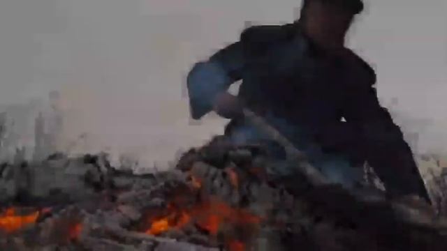 Далашпа даан