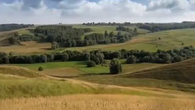 Трофим Родина