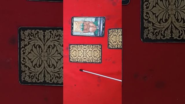 Обо молчат, что скрывает тишина? Общий расклад ТАРО #тарообучение