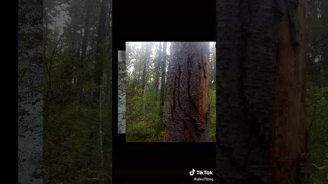 охота и рыбалка