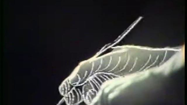Наутилус Помпилиус — Прогулки по воде (v1, 1991)