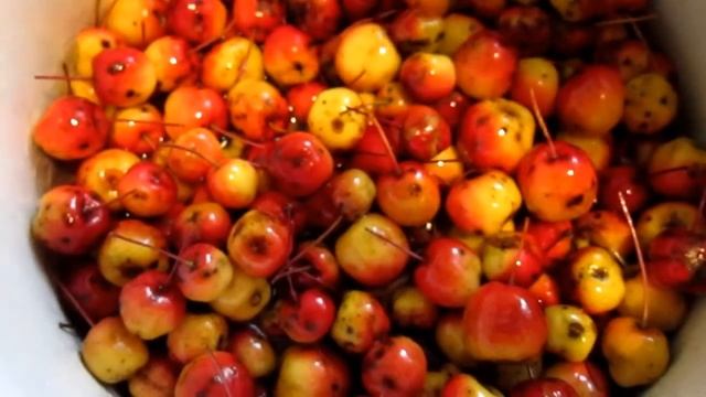 Красивое варенье из китайских (райских) яблочек.