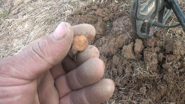 В старой деревне нашел овраг с удивительно крутыми и старыми находками.Коп старины с металоискателем