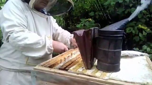Как качают мед?