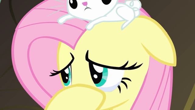 My Little Pony: Дружба — это чудо ? Fluttershy | Сборники 1 ЧАС | MLP FIM по-русски