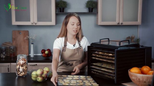 Как сушить яблоки на зиму? (быстро, много и просто!)