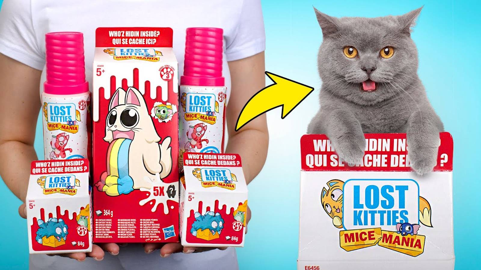 Открываем Lost Kitties из серии «Мышемания»
