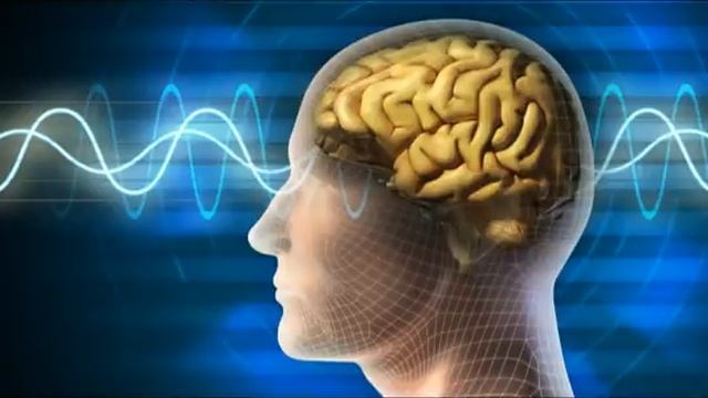 медитация для успокоения нервной системы. лучшие медитации йогов для психики. медитация на гармонию