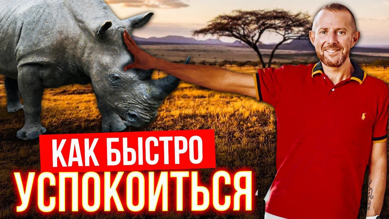 Как быстро успокоиться и не паниковать. Лайфхак матёрого переговорщика