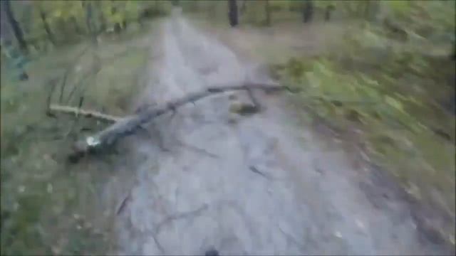 самые жестоке нападения медведя на человека
