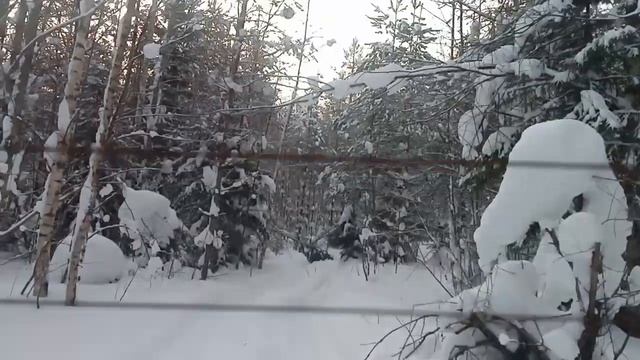 Самодельный гусеничный вездеход, в зимнем лесу..mp4