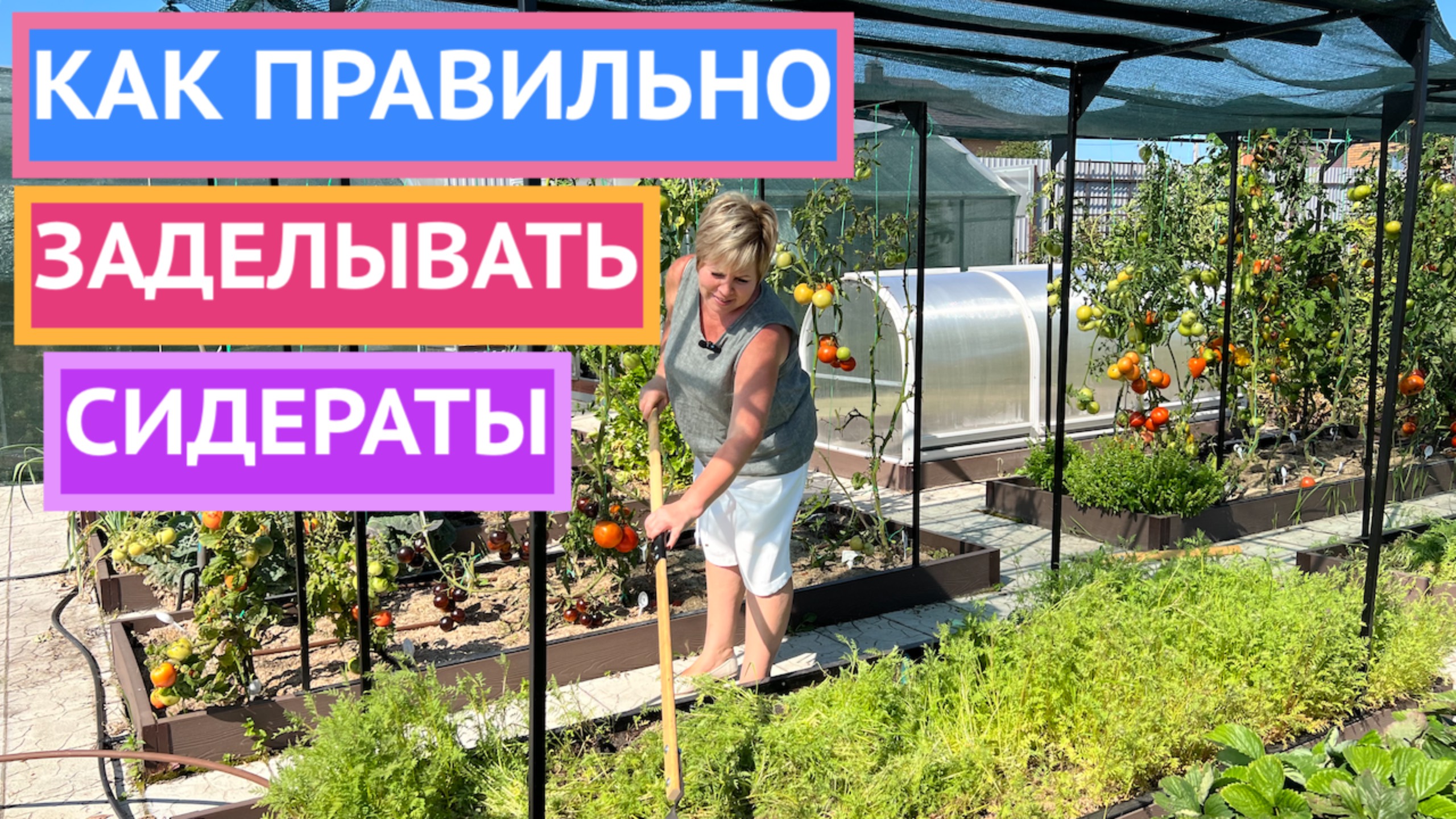ПОЧЕМУ ВАМ ОБЯЗАТЕЛЬНО НУЖНО ЗАДЕЛАТЬ СИДЕРАТЫ В ПОЧВУ